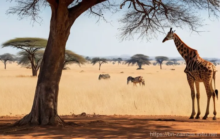 잠비아 전기 콘센트 - **Prompt 1: Seamless Connectivity in Zambia**
    "A bright, clean image of a modern, well-decorated...