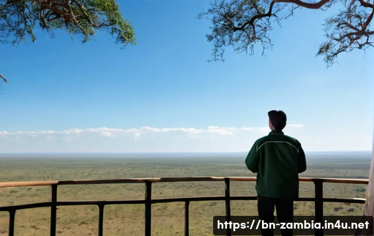 잠비아 고등 교육 관련 이미지 2