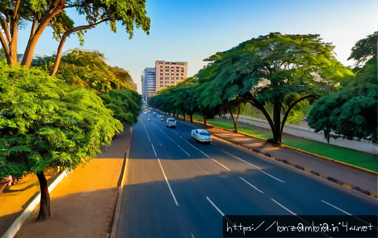 Home 17 잠비아 수도 루사카 - Photorealistic wide-angle view of Lusaka, Zambia at golden hour, modern civic buildings and low-rise...